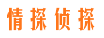 舞阳找人公司